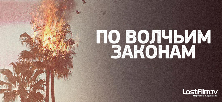 По волчьим законам