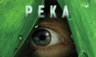 Река
