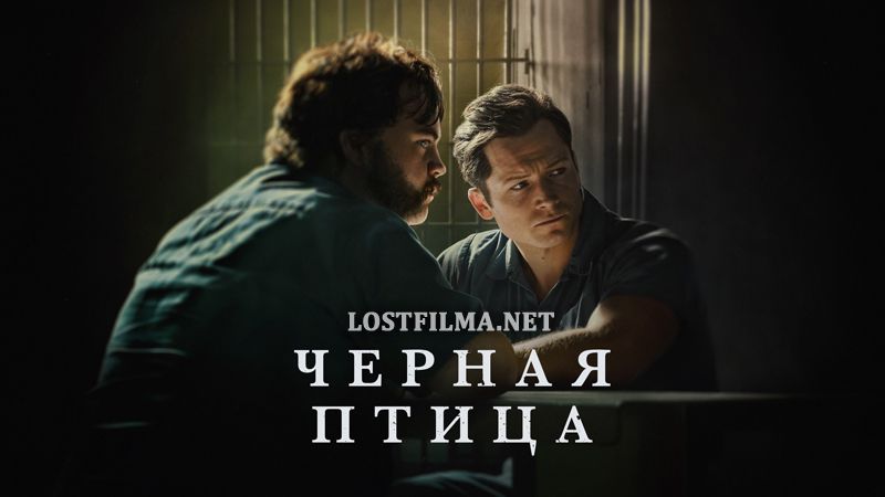 Чёрная птица