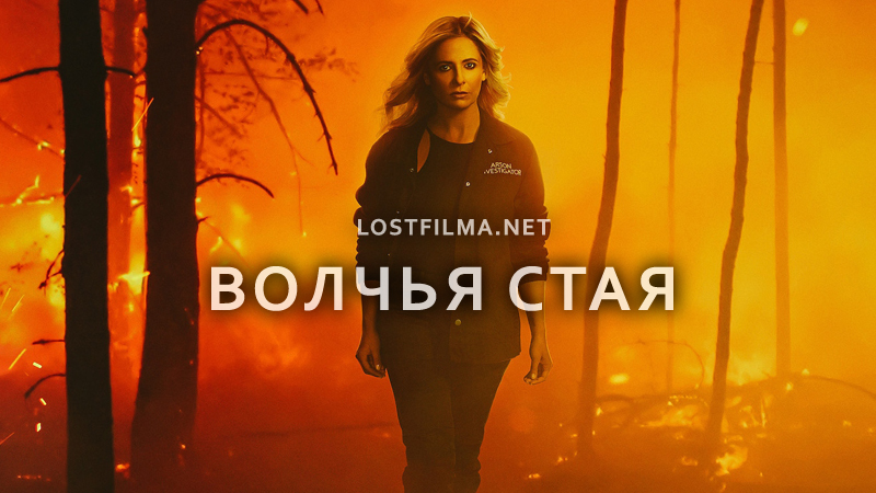 Волчья стая