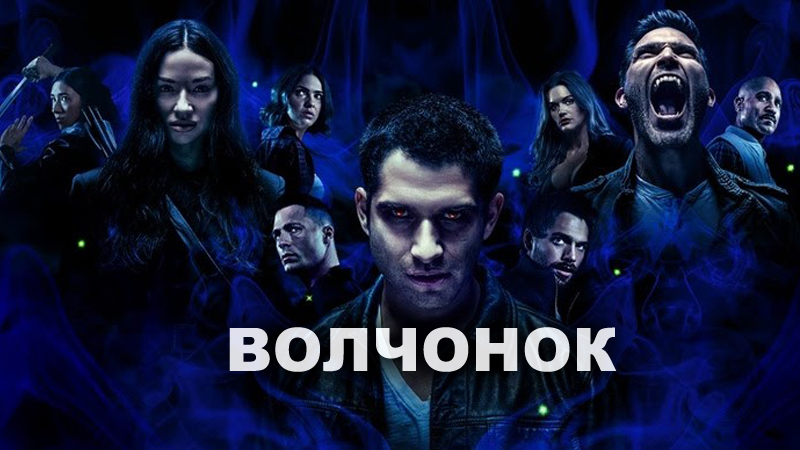 Волчонок