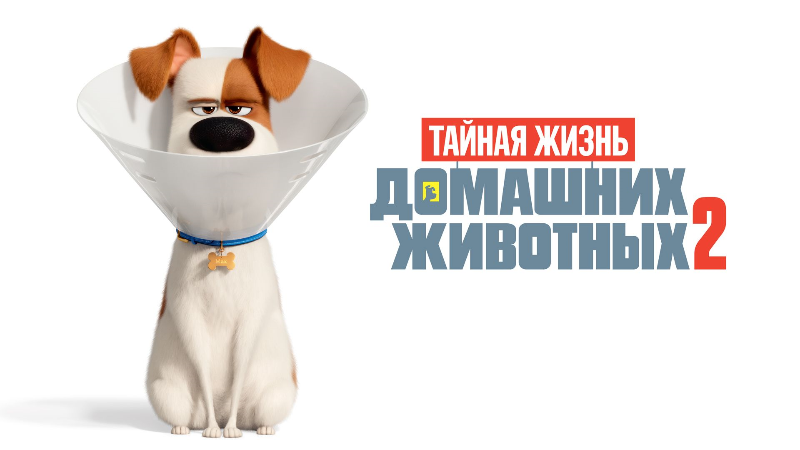 2 часть: Тайная жизнь домашних животных