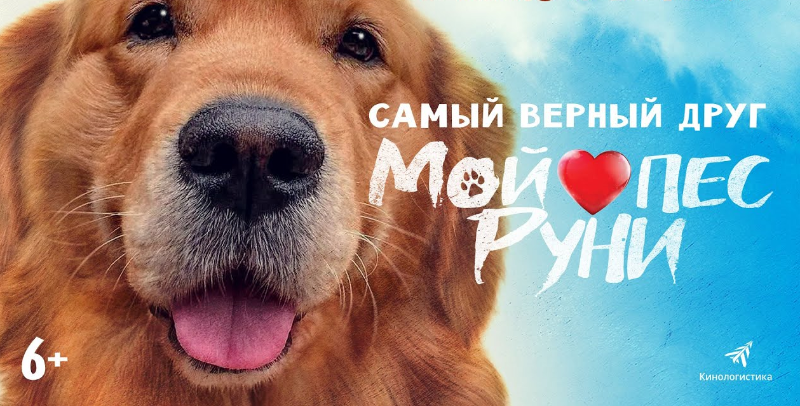 Мой пёс Руни