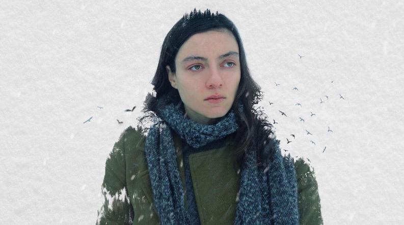 Снег и медведь