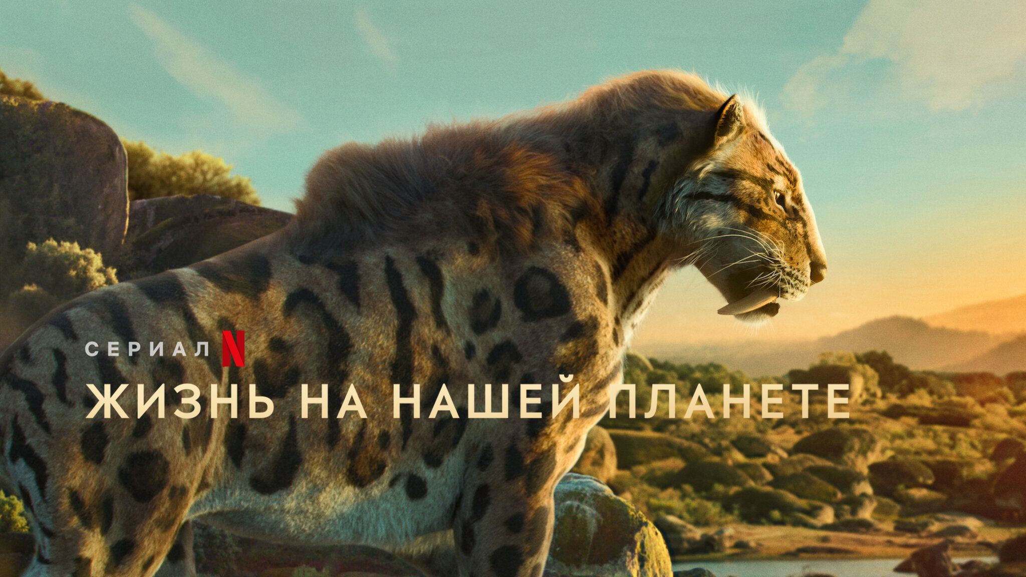 Жизнь на нашей планете