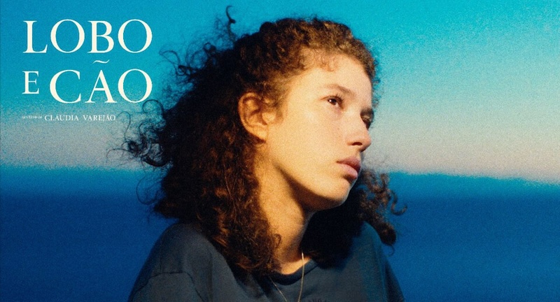 Волк и пёс