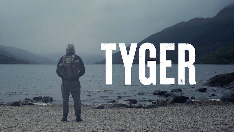 Тигр
