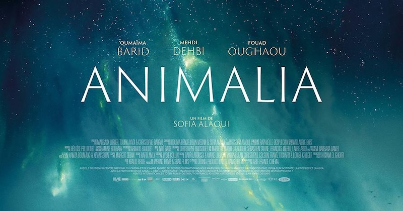 Анималия