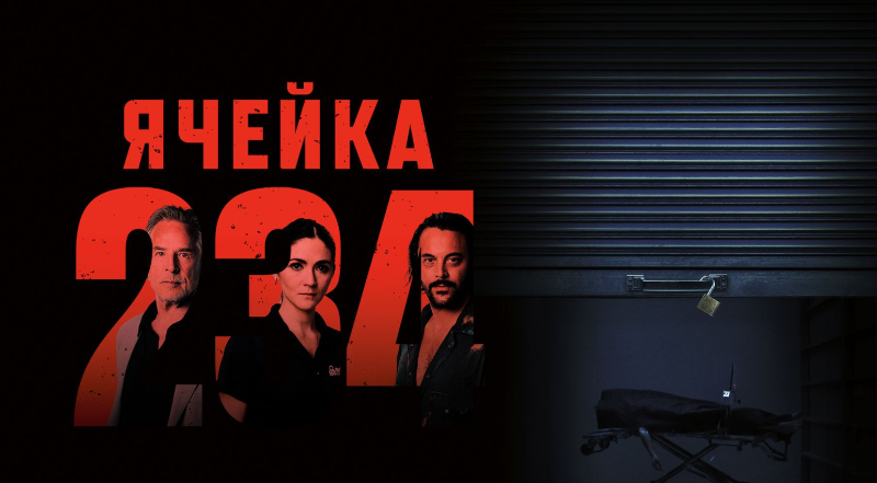 Ячейка 234