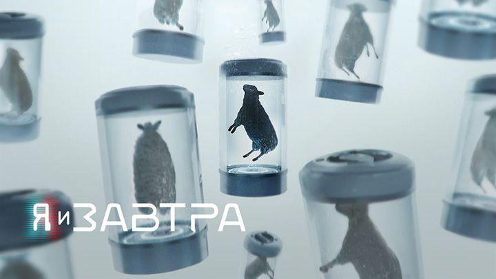 Я и завтра