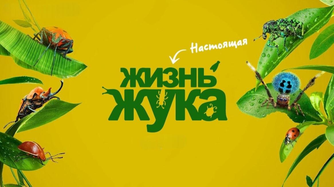 Настоящая жизнь жука / Приключения настоящего Флика