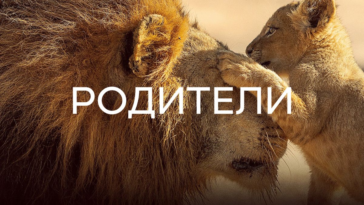 Родители