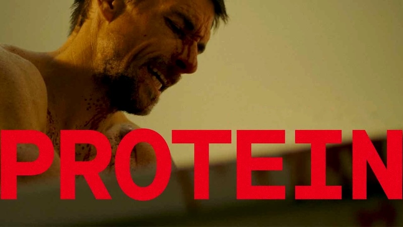 Протеин