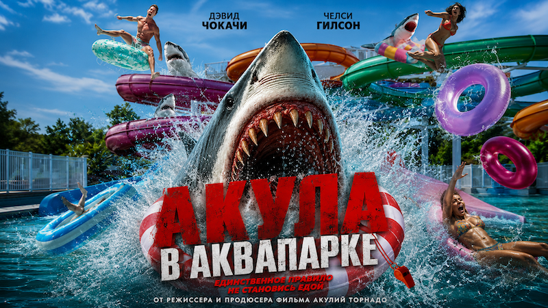 Акула в аквапарке