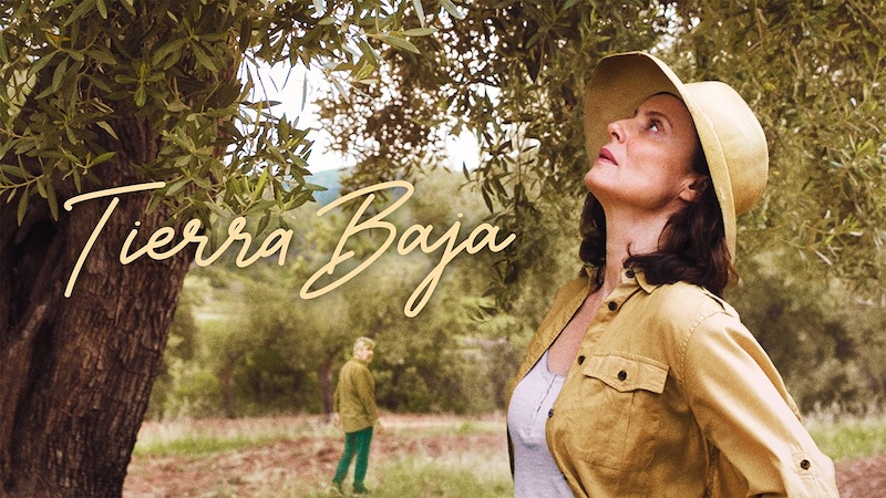 Низина