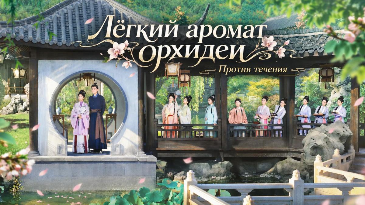 Лёгкий аромат орхидеи / Против течения